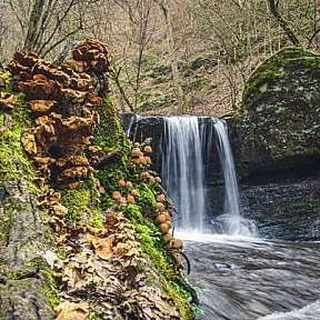 © Dominik Ketz/ Rheinland-Pfalz Tourismus GmbH