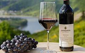 Rotwein und Trauben im Freien Ein Glas Rotwein und eine Flasche neben frischen Trauben, mit Landschaft im Hintergrund.