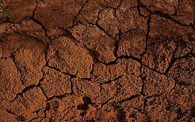 clay banks EdscD R28bM unsplash
